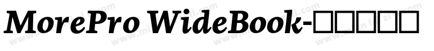 MorePro WideBook字体转换